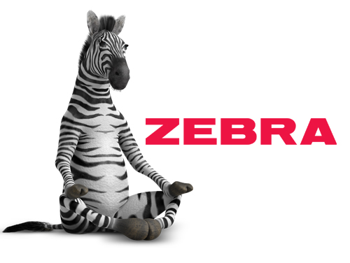 شرکت زبرا ایران Zebra iran