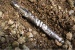 Smithsonian - Dinosaur Fossil Tornado Fountain Pen