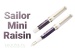 Sailor Pro Gear Slim Mini Rencontre Resin Fountain Pen