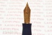 Vintage parker Vacumatic golden webs Fountain Pen